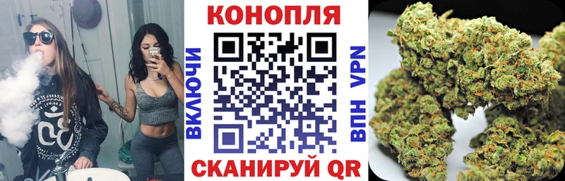 Продажа наркотиков Мариинский Посад Псилоцибиновые грибы  Гашиш  АМФЕТАМИН  Бошки Шишки  Alpha-PVP 