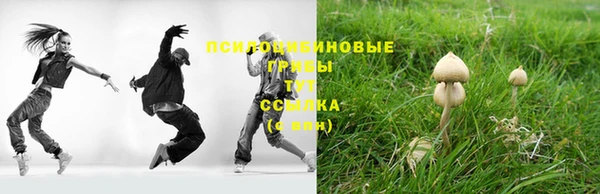 а пвп мука Балабаново