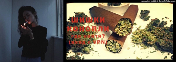 трава Аркадак