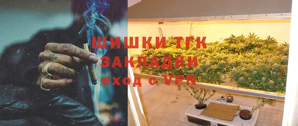 трава Аркадак