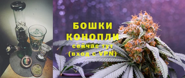трава Аркадак